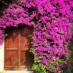 Il Girasole Bed and breakfast