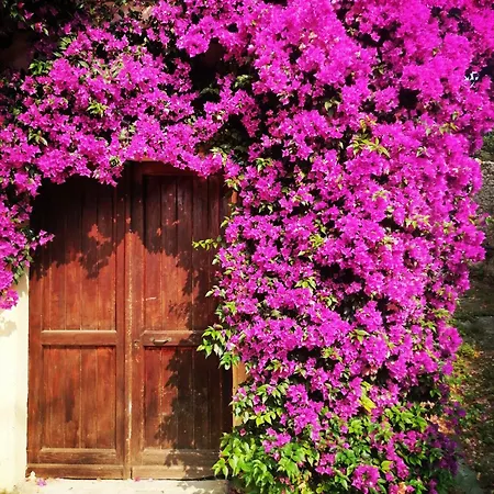 Il Girasole Bed and breakfast